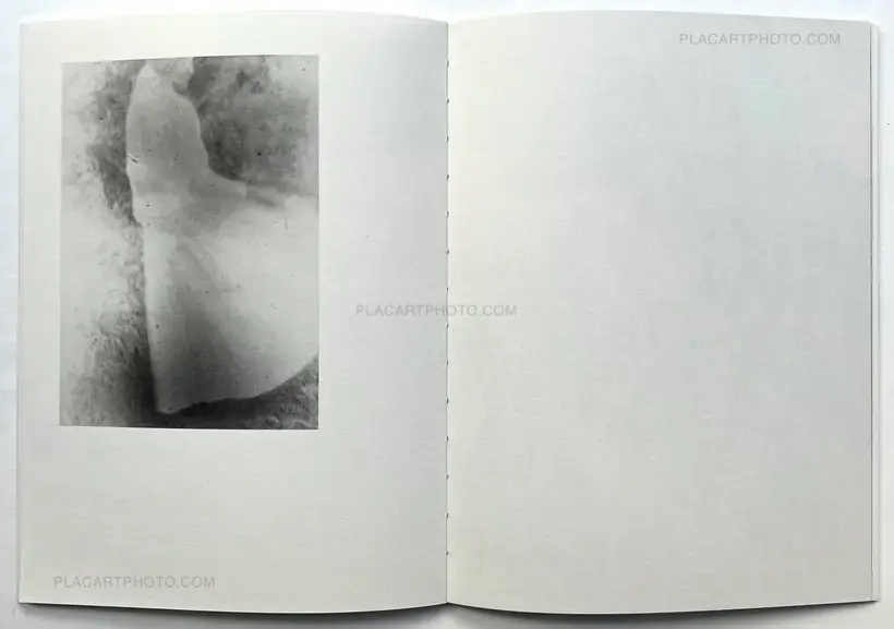 A Summer Of A Thousand Years (Edt 350, signed and numbered)