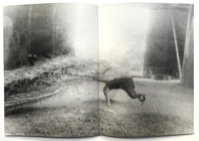 A Summer Of A Thousand Years (Edt 350, signed and numbered)