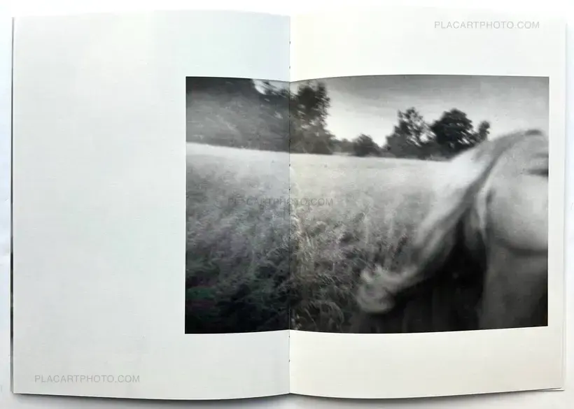 A Summer Of A Thousand Years (Edt 350, signed and numbered)