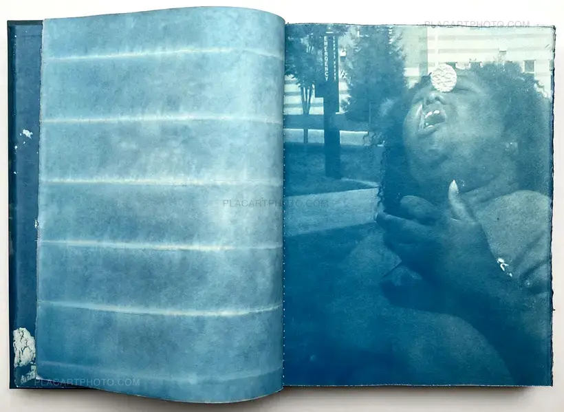 CYANOTYPES (Unique, signed and numbered)