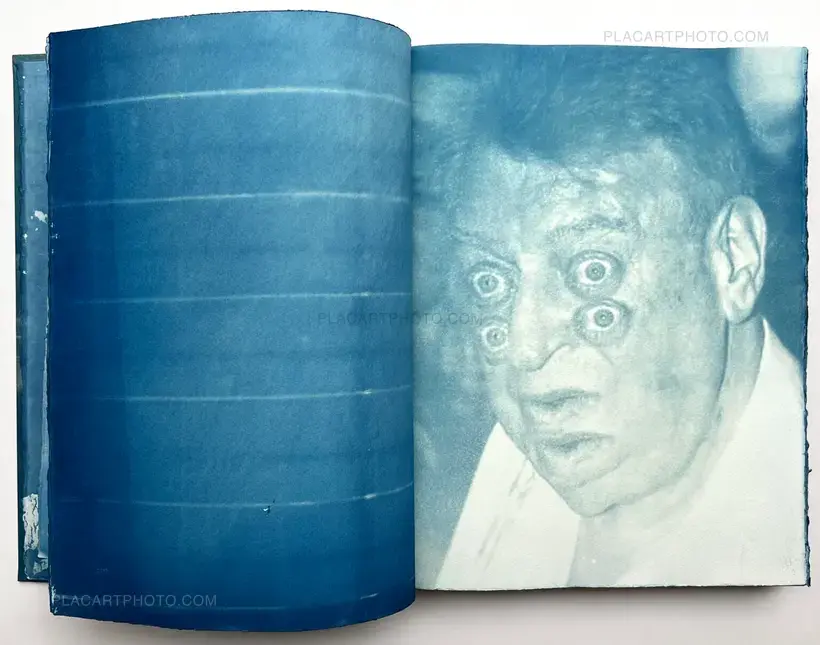 CYANOTYPES (Unique, signed and numbered)