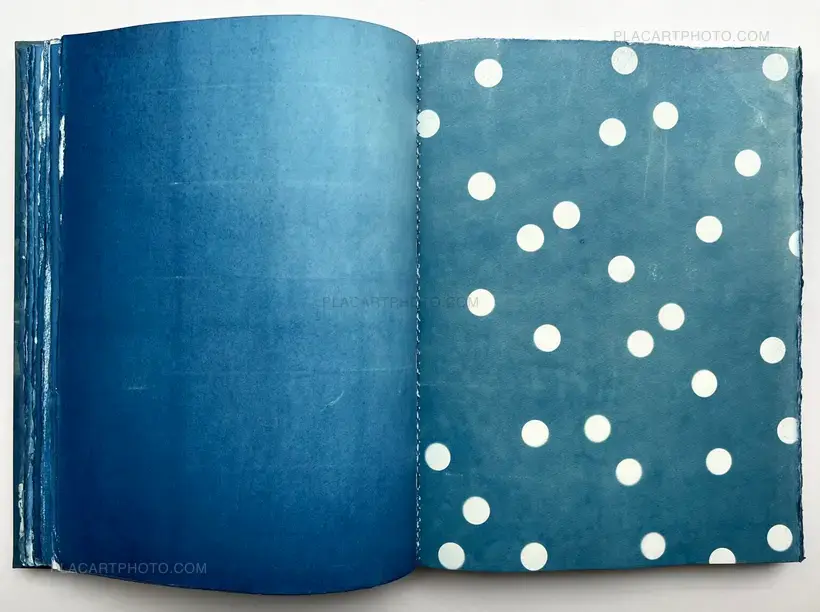 CYANOTYPES (Unique, signed and numbered)