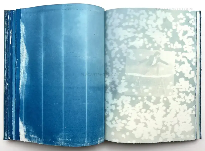 CYANOTYPES (Unique, signed and numbered)