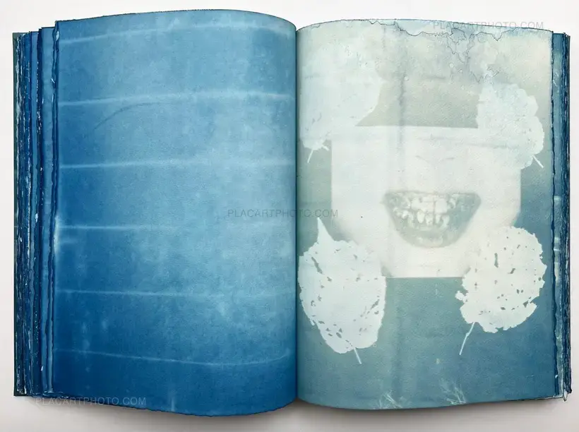 CYANOTYPES (Unique, signed and numbered)