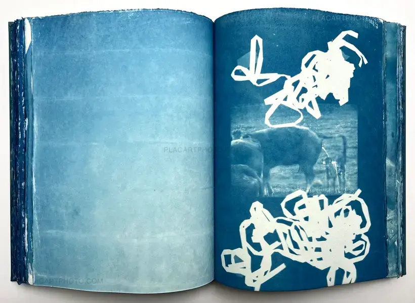 CYANOTYPES (Unique, signed and numbered)