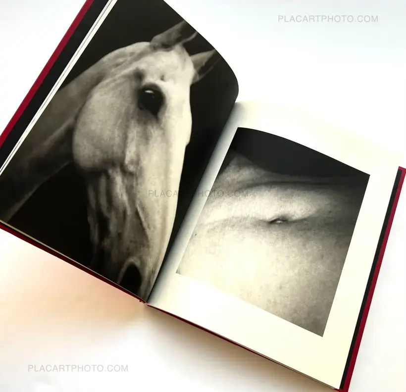 Death is a bride (Signed and numbered)