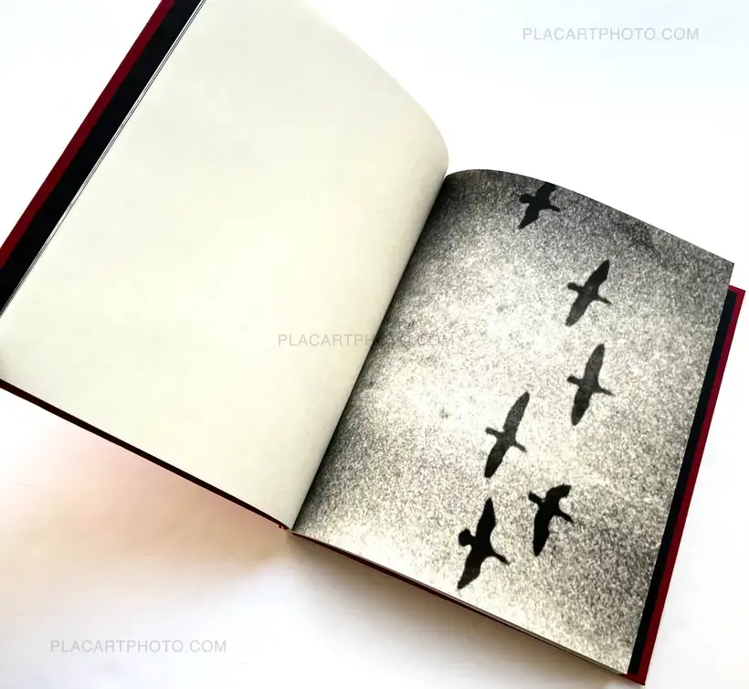 Death is a bride (Signed and numbered)