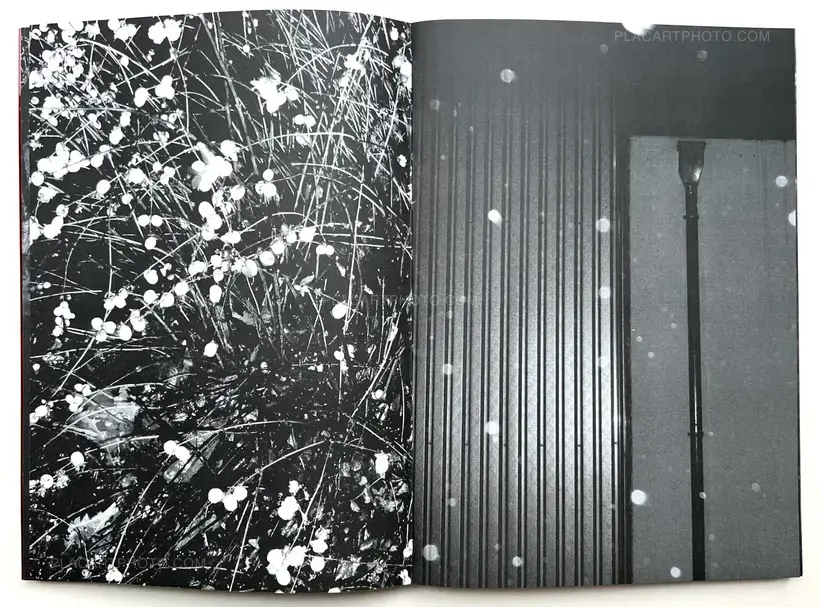 SOLSTICE (Signed and numbered, edt of 10)