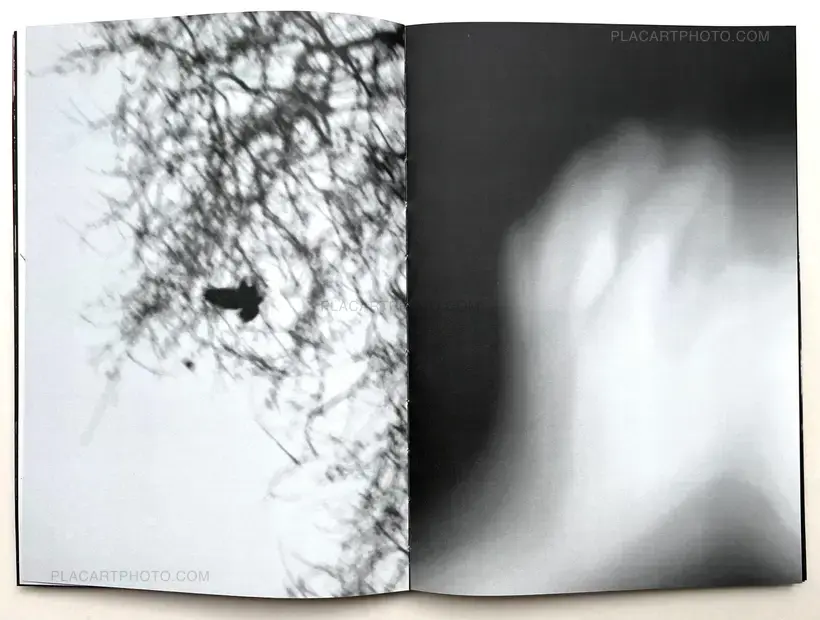 SOLSTICE (Signed and numbered, edt of 10)