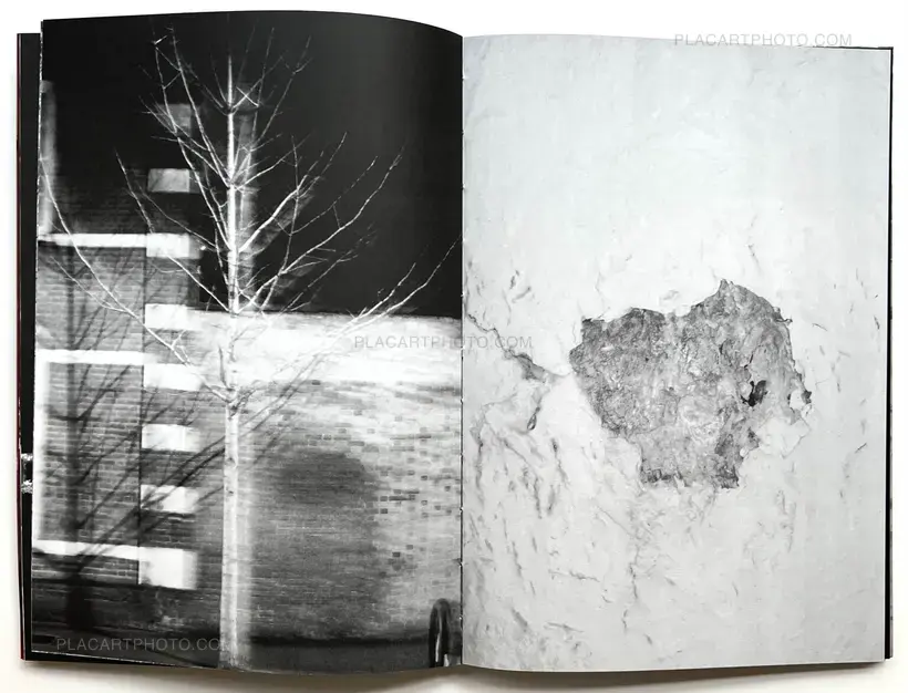 SOLSTICE (Signed and numbered, edt of 10)