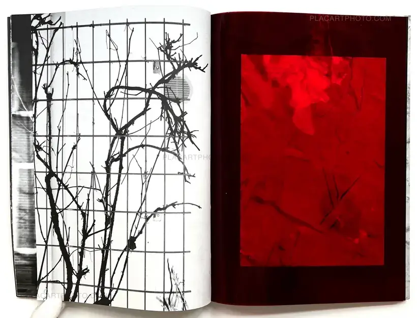 SOLSTICE (Signed and numbered, edt of 10)