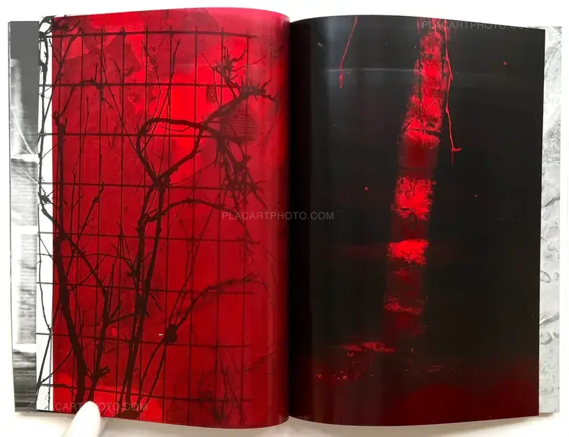 SOLSTICE (Signed and numbered, edt of 10)