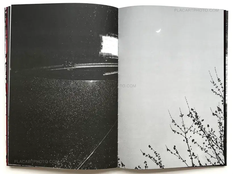 SOLSTICE (Signed and numbered, edt of 10)