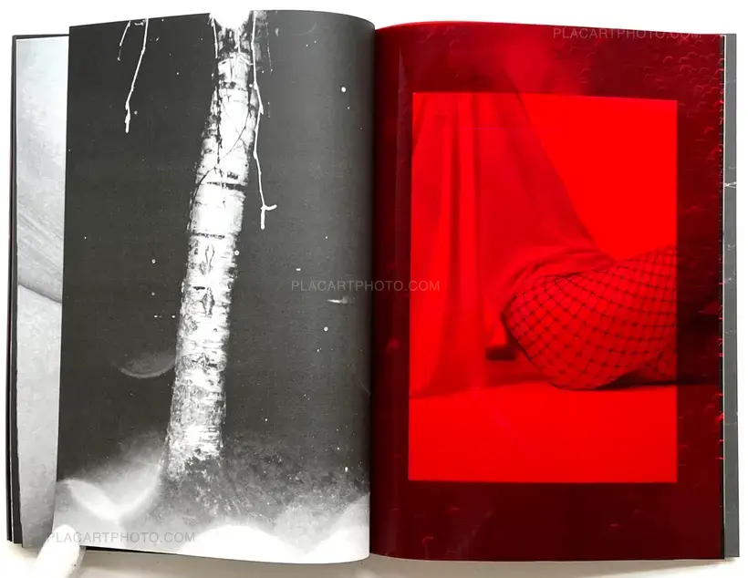 SOLSTICE (Signed and numbered, edt of 10)