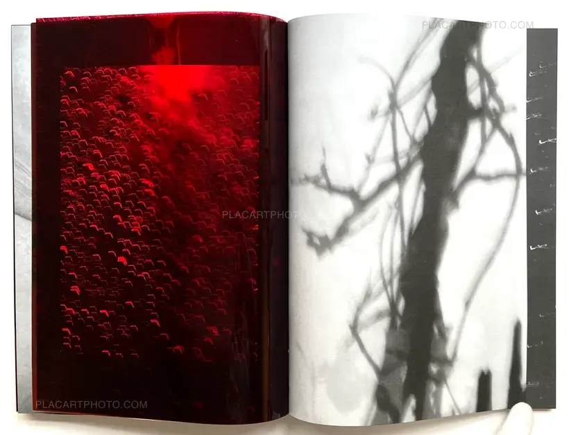 SOLSTICE (Signed and numbered, edt of 10)