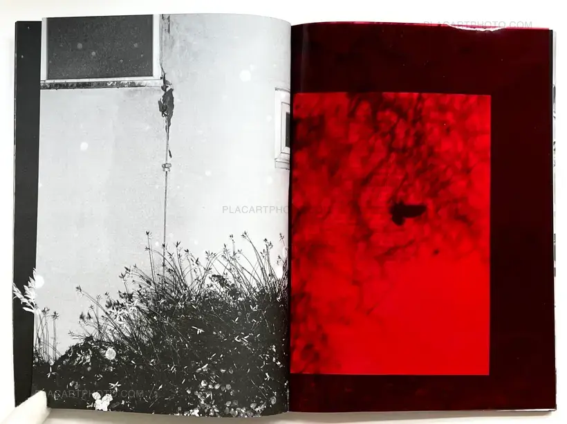 SOLSTICE (Signed and numbered, edt of 10)