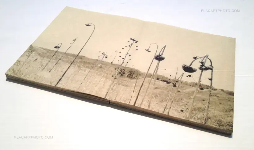 And where did the peacocks go ? (SIGNED TRUE FIRST EDT ONLY 50 COPIES)