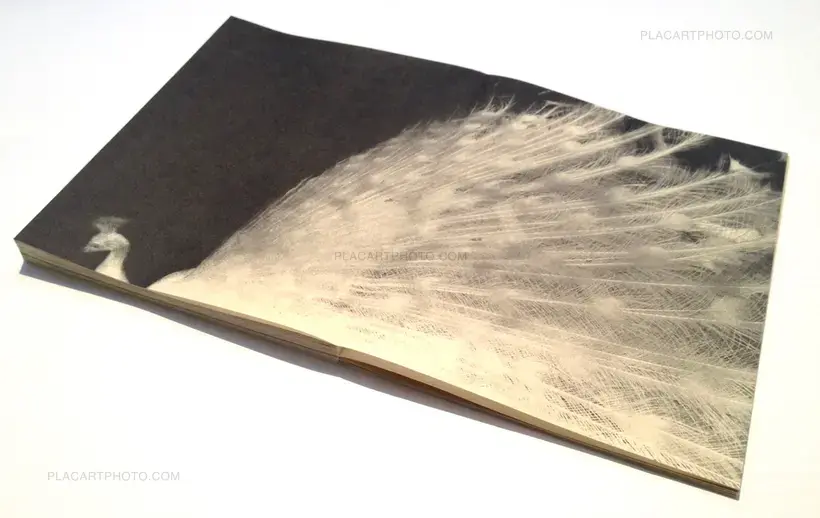 And where did the peacocks go ? (SIGNED TRUE FIRST EDT ONLY 50 COPIES)