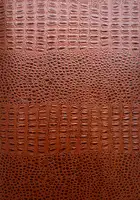 Umana Natura (Print B, edt 6/6, Brown cover)