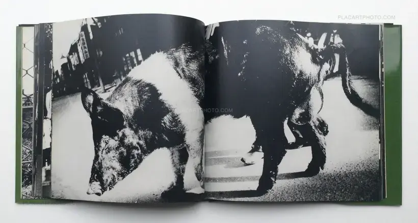 Japan, a Photo Theater II