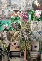 STEPHEN SHORE INSTAGRAM (LTD EDT OF 200 copies)