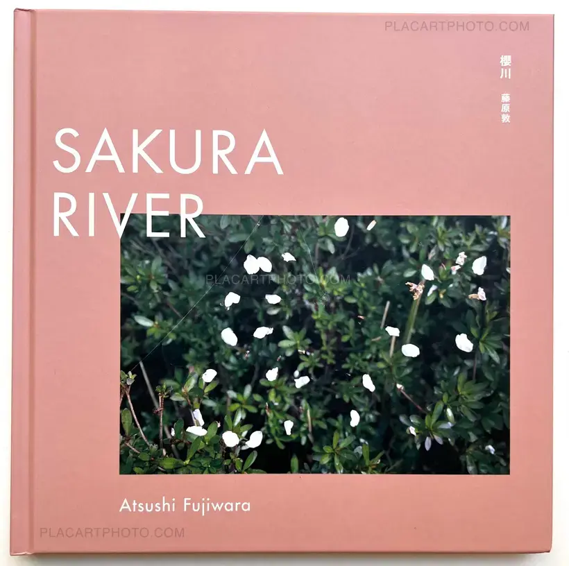 Sakura River (Special edition SE#16)