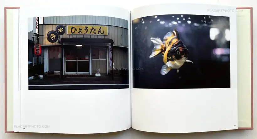 Sakura River (Special edition SE#16)