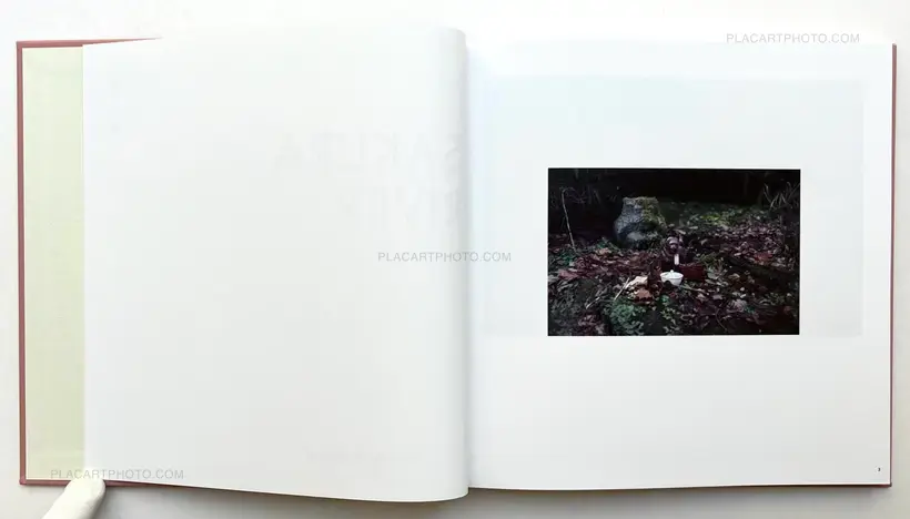 Sakura River (Special edition SE#1)