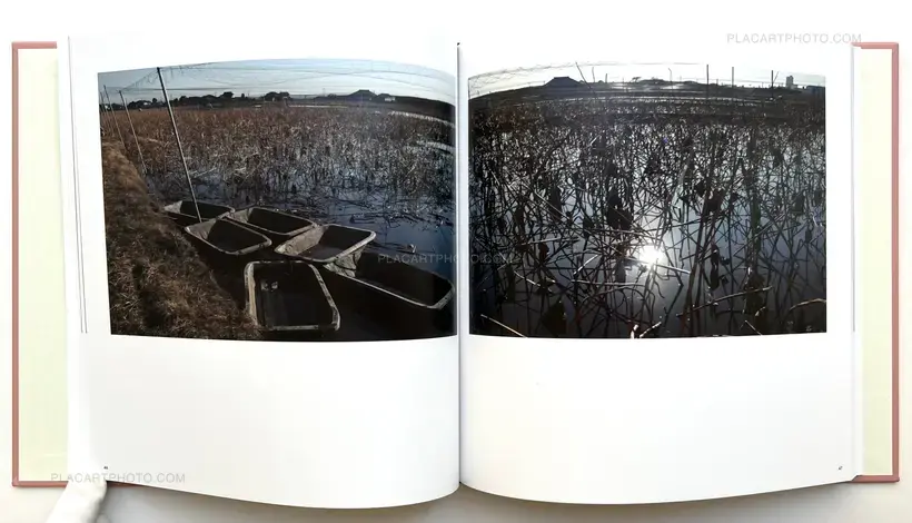 Sakura River (Special edition SE#1)