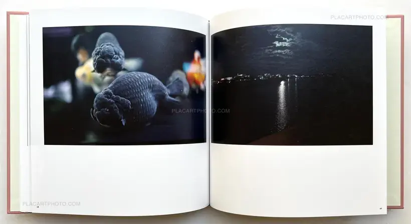 Sakura River (Special edition SE#1)