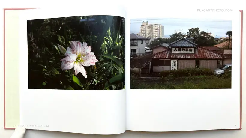 Sakura River (Special edition SE#6)