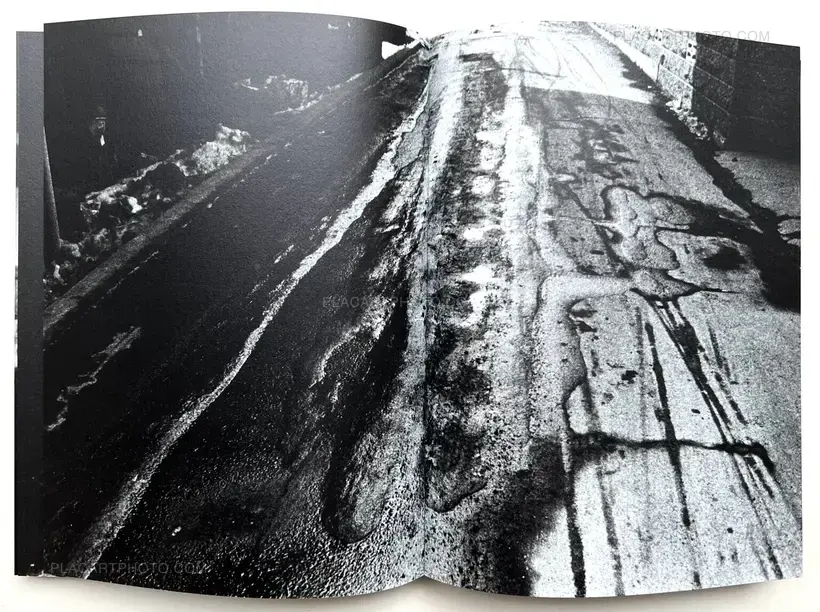 Looking Back (Special edition)