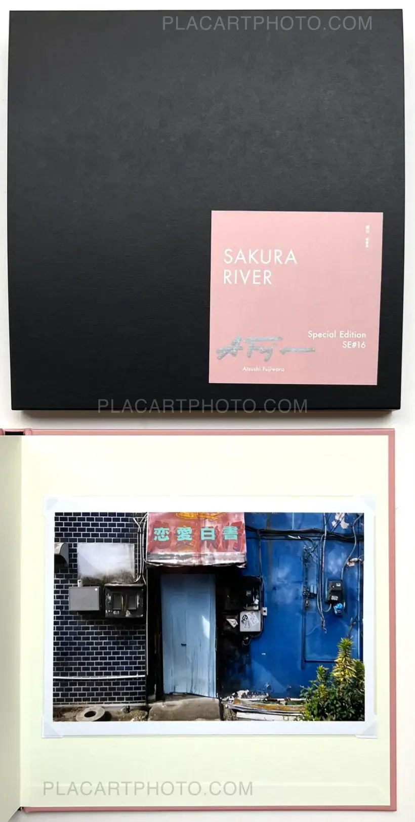 Sakura River (Special edition SE#16)