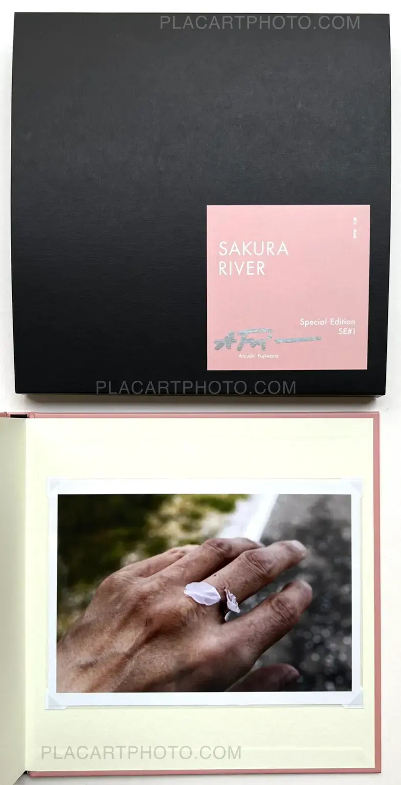 Sakura River (Special edition SE#1)