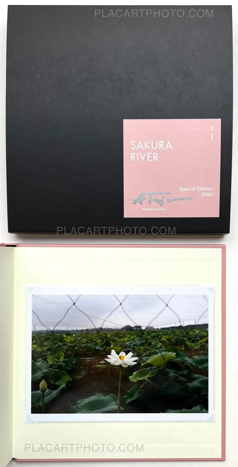 Sakura River (Special edition SE#6)