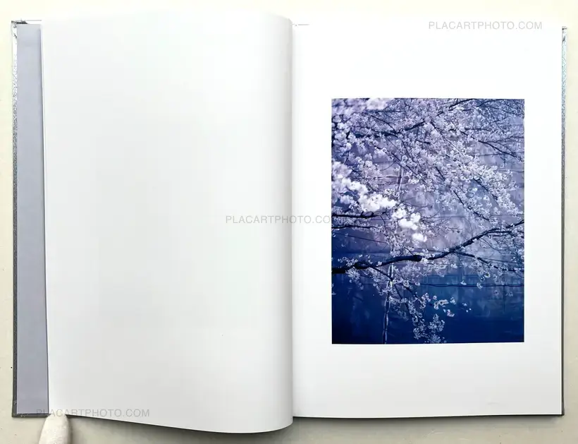 Showa 99 (Special edition C)