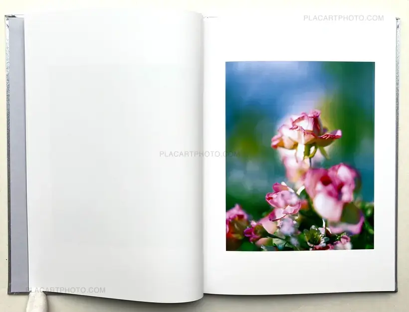 Showa 99 (Special edition C)