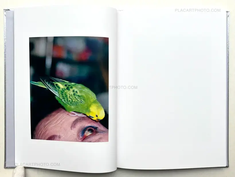 Showa 99 (Special edition C)