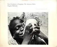 Few Comforts or Surprises : The Arkansas Delta