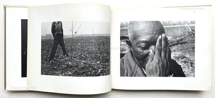 Few Comforts or Surprises : The Arkansas Delta