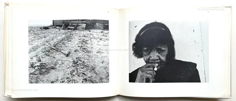 Few Comforts or Surprises : The Arkansas Delta