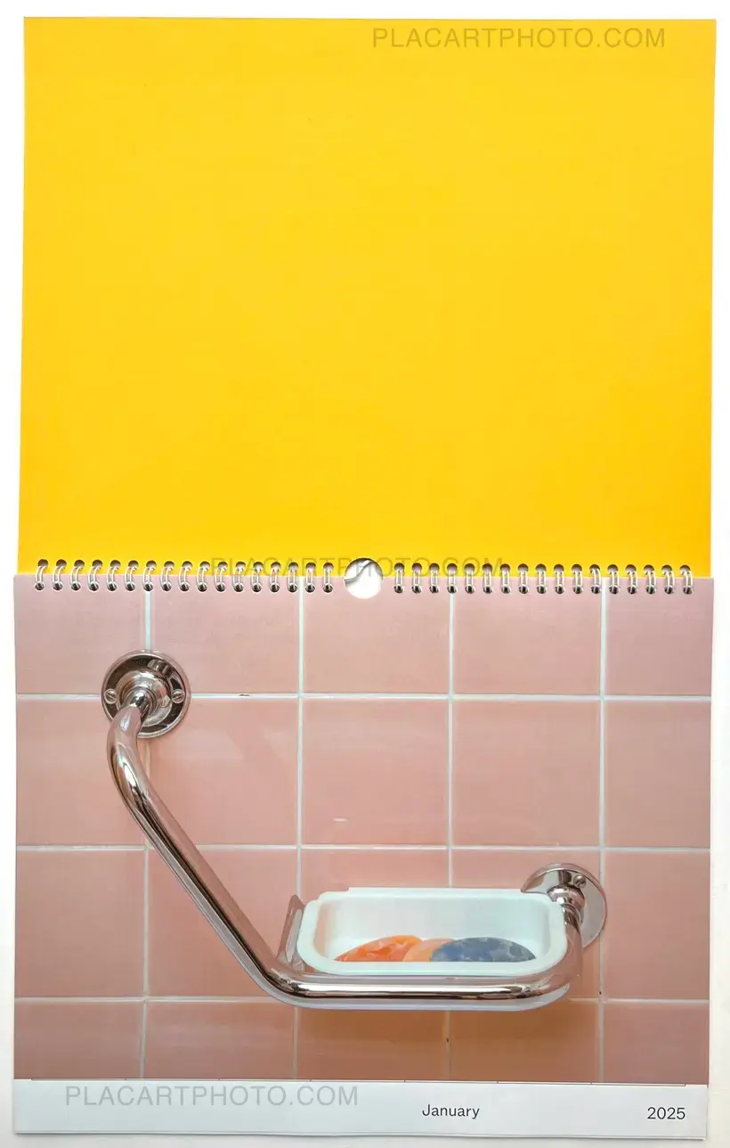 DAILY BANALITIES : Calendar 2025