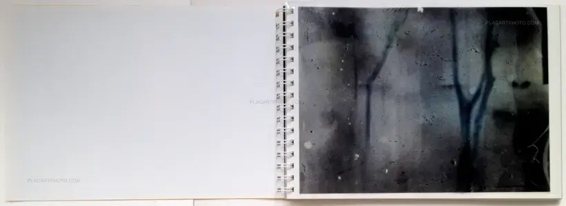 Toransupearento (Signed)