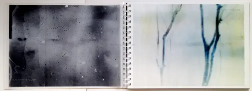 Toransupearento (Signed)