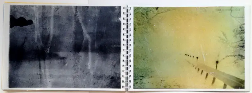 Toransupearento (Signed)