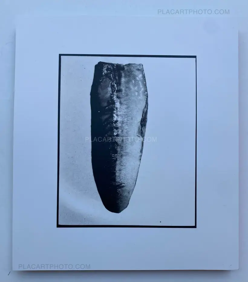 HONG KONG SUMMER : DOUBLE SUICIDE (SIGNED)