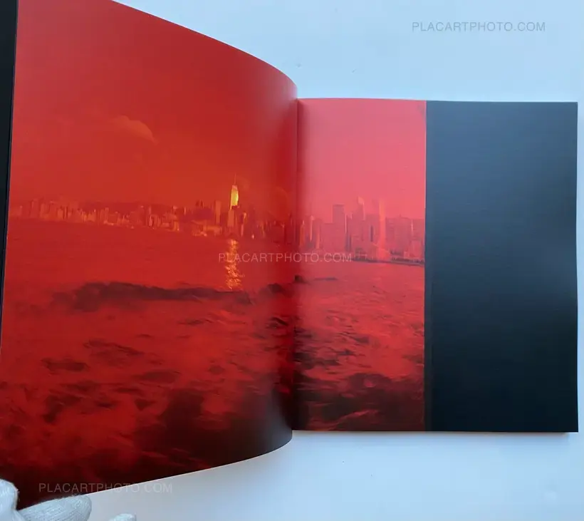 HONG KONG SUMMER : DOUBLE SUICIDE (SIGNED)