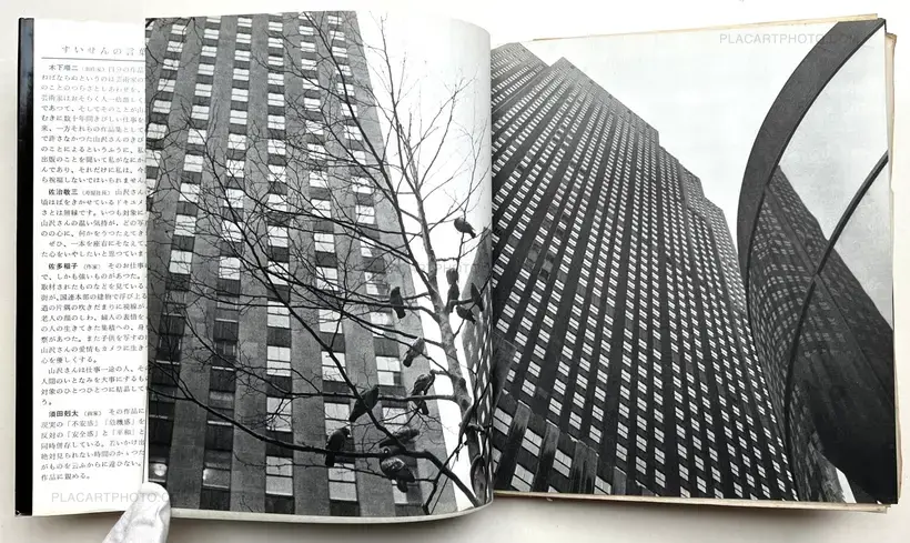 Enkin / Far and Near