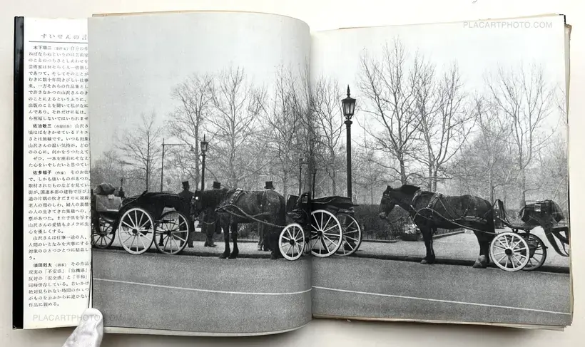 Enkin / Far and Near