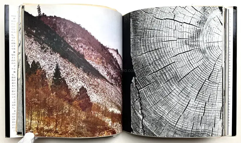 Enkin / Far and Near